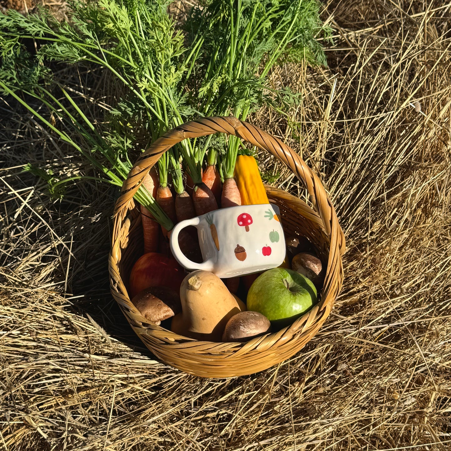 HARVEST VEGGIES